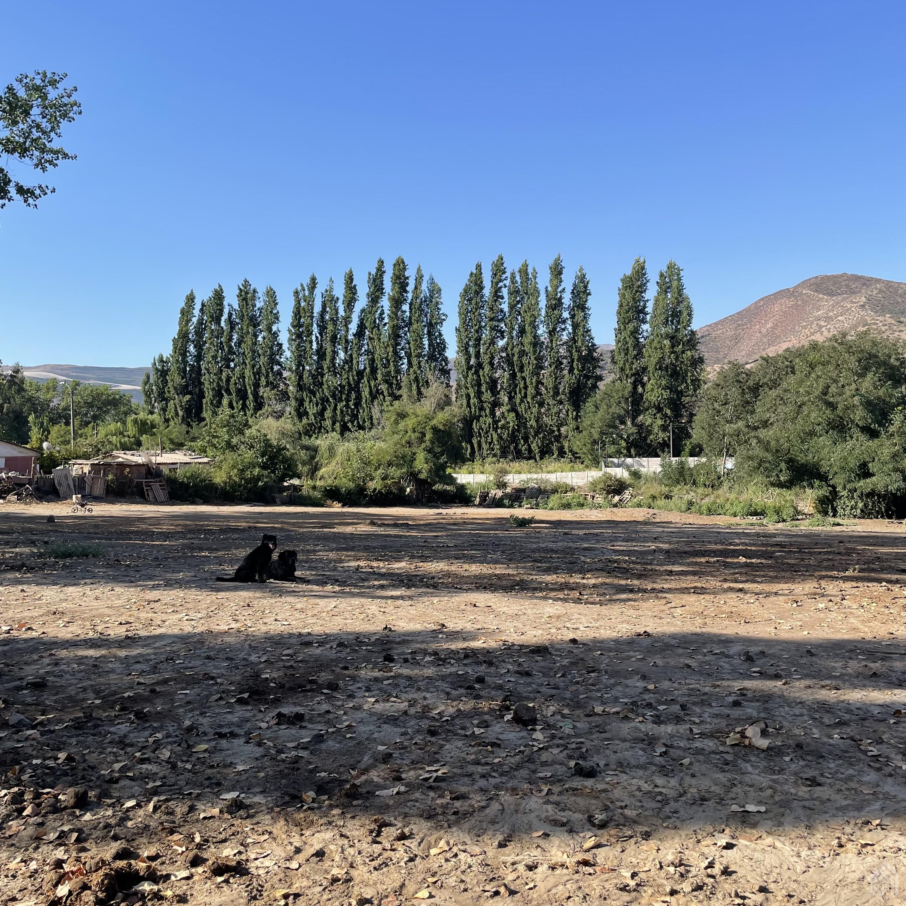 Parcela en venta El Almendral.