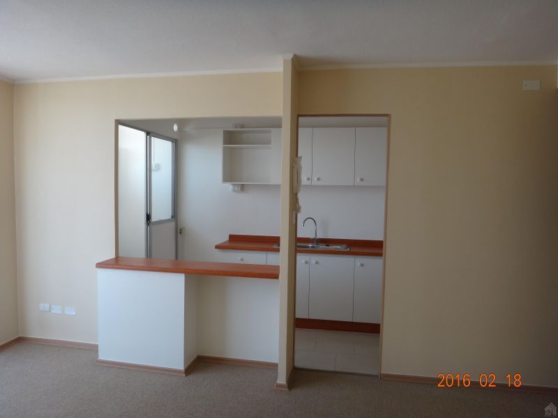 Departamento en arriendo  sector Tottus san Felipe.